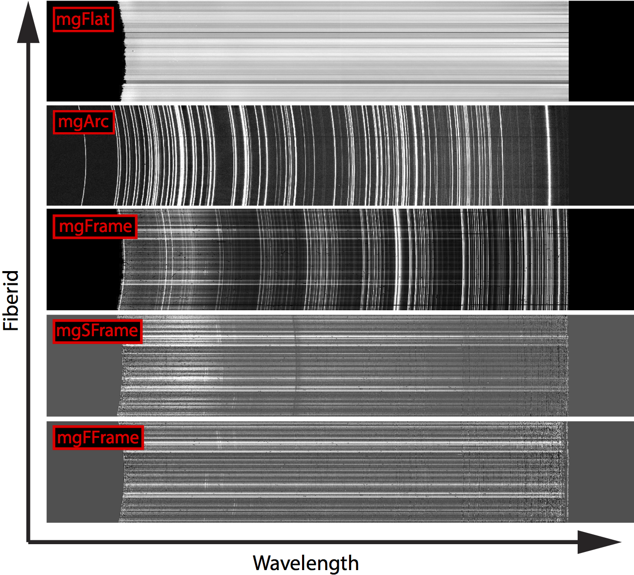 MaNGA red camera extracted spectra for different 2d pipeline stages. mgFlat, mgArc, and mgFrame are extracted flatfield, arc-lamp, and science respectively. mgSFrame and mgFFrame are science data after background sky substraction and flux calibration, respectively. Figure is from <a href="http://adsabs.harvard.edu/abs/2016AJ....152...83L">Law et al. (2016)</a>.