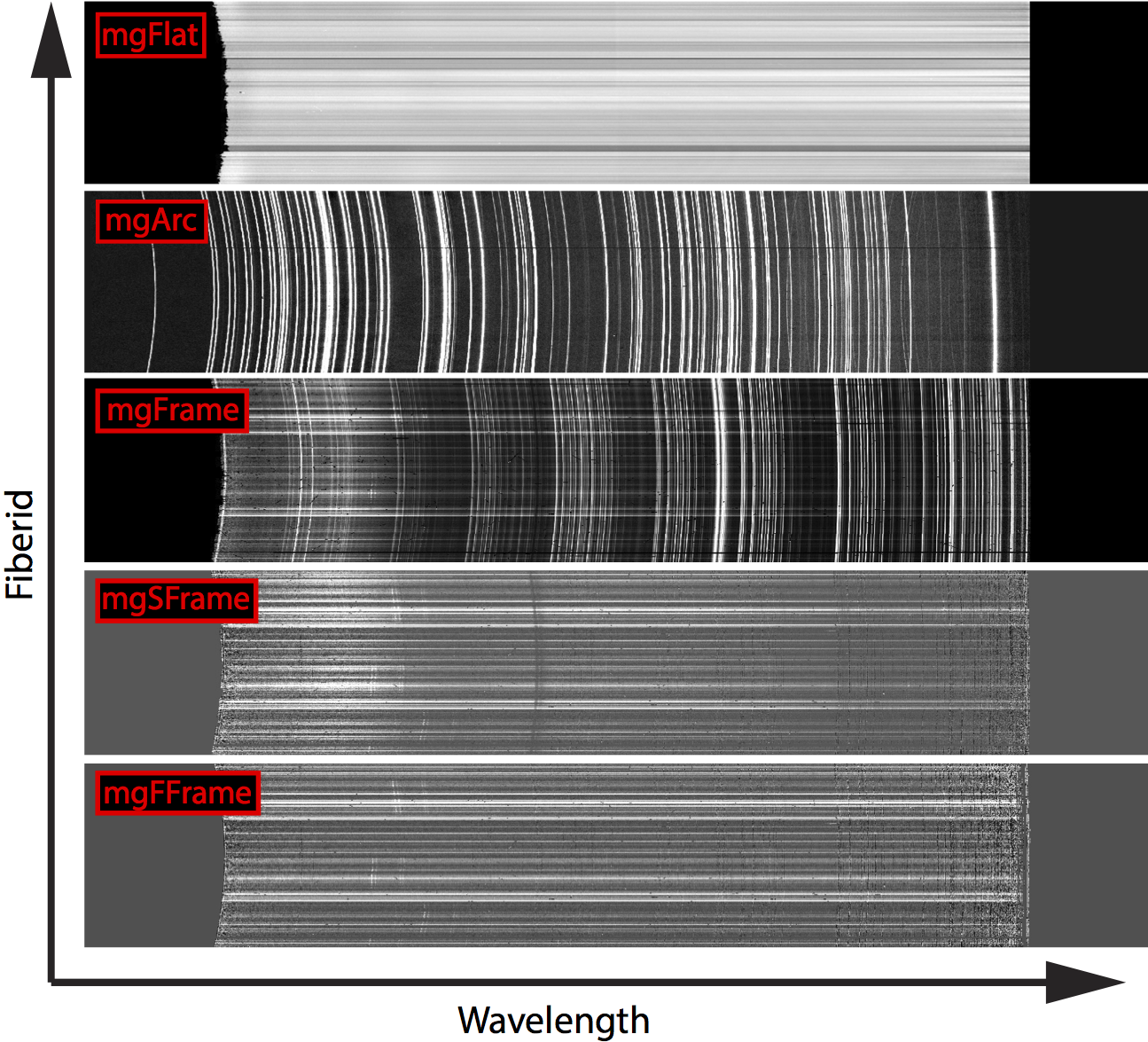 MaNGA red camera extracted spectra for different 2d pipeline stages.  mgFlat, mgArc, and mgFrame are extracted flatfield, arc-lamp, and science respectively.  mgSFrame and mgFFrame are science data after background sky substraction and flux calibration, respectively.  Figure is from <a href="http://adsabs.harvard.edu/abs/2016AJ....152...83L">Law et al. (2016)</a>.