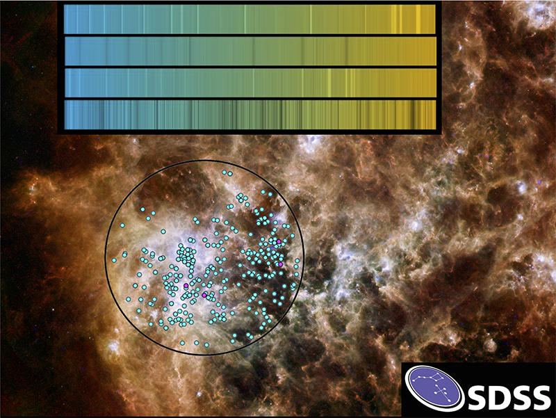 A multicolor image of the Tarantula Nebula. A black circle shows the location of the APOGEE South observations; blue dots show the stars measured. The top shows rainbow spectra of four measured stars.