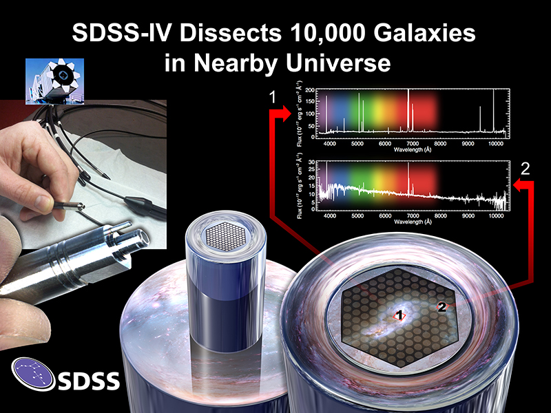  MaNGA will measure spectra at multiple points in the same galaxy, using newly created fiber bundles. The bottom right illustrates how each fiber will observe a different section of the galaxy. The top right renders data gathered by two fibers observing two different part of the galaxy, showing how the spectrum of the central regions differs dramatically from outer regions. Image Credit: Dana Berry / SkyWorks Digital Inc., David Law, and the SDSS collaboration.