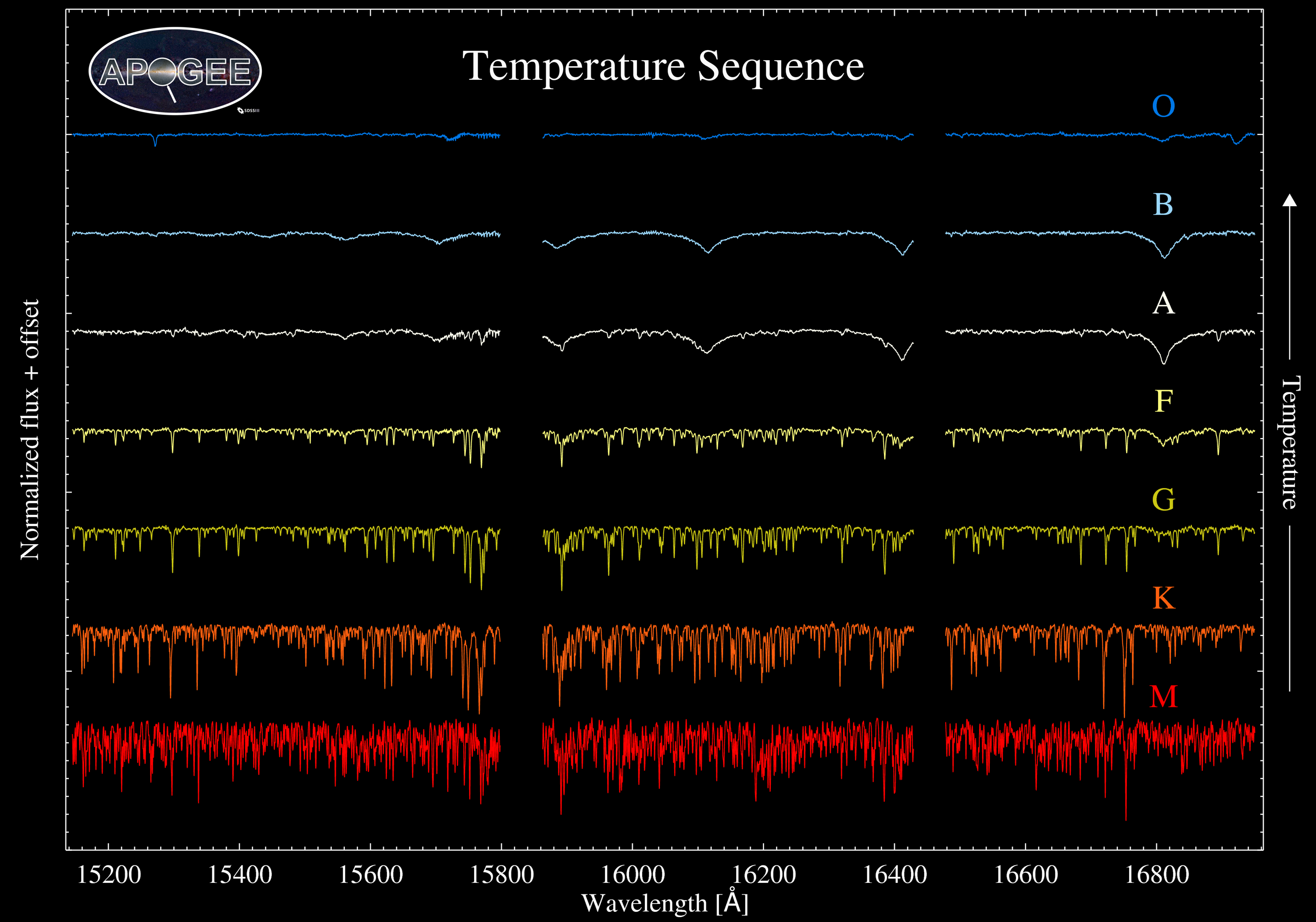 Sample APOGEE spectra for stars of different spectral types. Gaps in the spectra correspond to gaps in detector coverage. Click for a larger view.