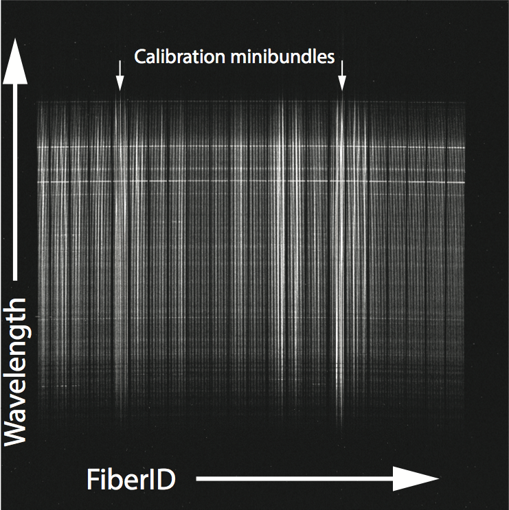 MaNGA raw science data for a single blue camera.  Figure is from Law et al. (2016) (<a href="https://www.sdss.org/wp-content/uploads/2016/07/law_arxiv.pdf">preprint available here</a>).