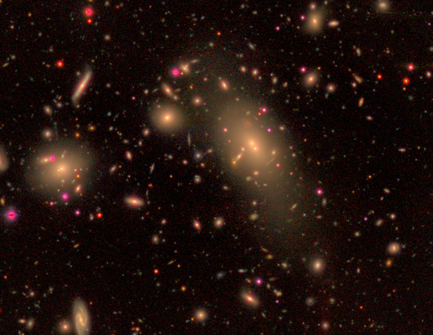HSC image (riz) of a brightest cluster galaxy