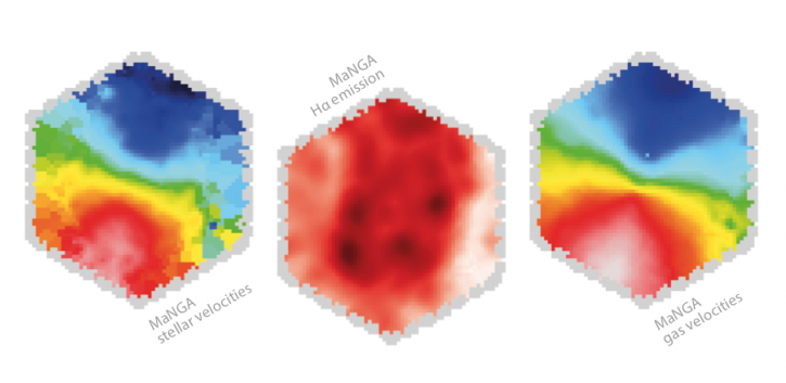  Example of a galaxy observed with MaNGA, showing from left to right: stellar velocity field, Hα emission line map, galactic gas velocity field.

Credit: Francesco Belfiore, Univ. of St Andrews Print & Design.