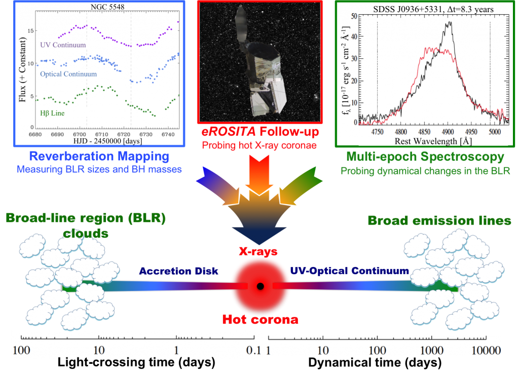 A schematic showing how BHM will study quasars and their supermassive black holes