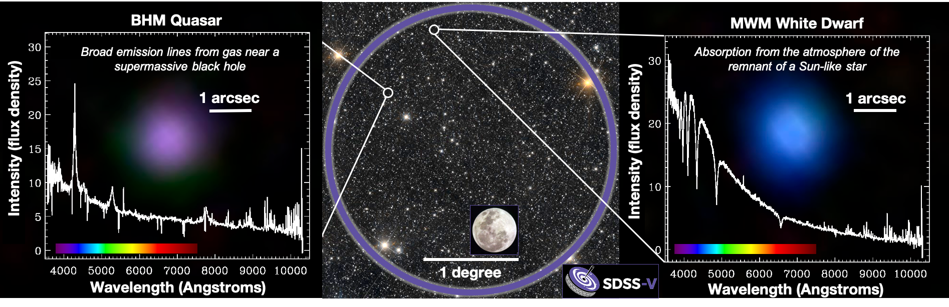 A three-panel image. The center panel shows a circle over part of the night sky. The left and right panels point to objects in the center panel. Left is an image and a spectrum of a quasar, right is an image and a spectrum of a white dwarf.