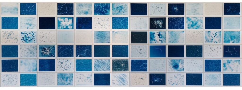 firmament4
